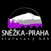 obrázek_upraveno_100x100